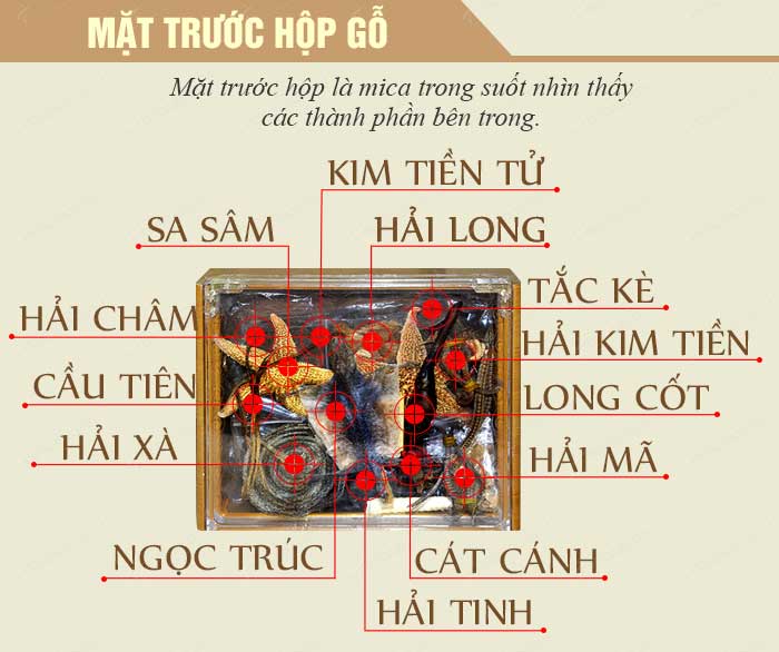 Bộ sản phẩm dược liệu tăng cường sinh lý nam cao cấp SL014 2 Bộ sản phẩm dược liệu tăng cường sinh lý nam cao cấp SL014 2