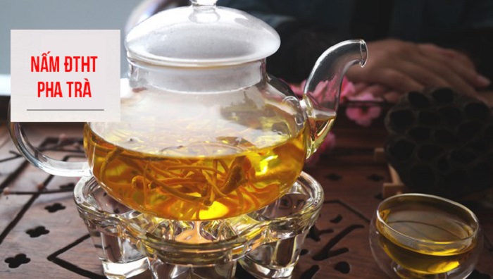 Nấm đông trùng hạ thảo pha trà uống hàng ngày